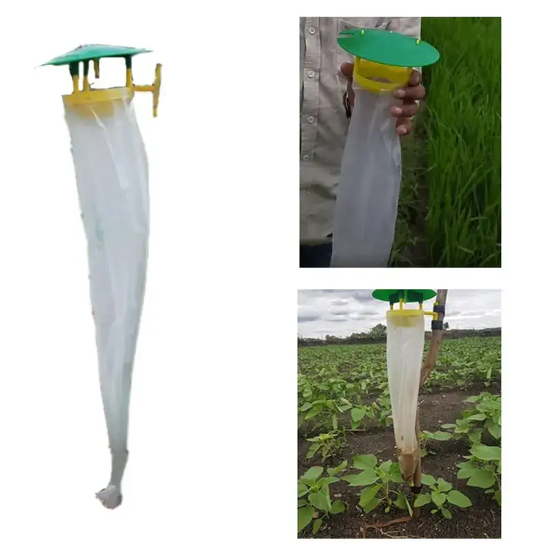 Limited Offer Phero Sensor BP Insect Trap for Agriculture Purposes(Pack-10 Pcs) 5.0